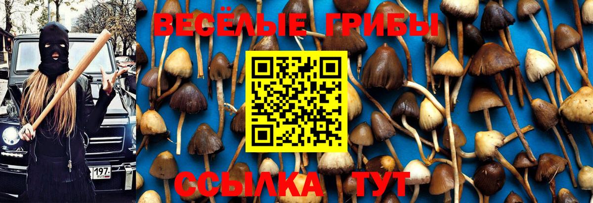 Богородск  Галлюциногенные грибы прущие грибы  Вход с VPN 